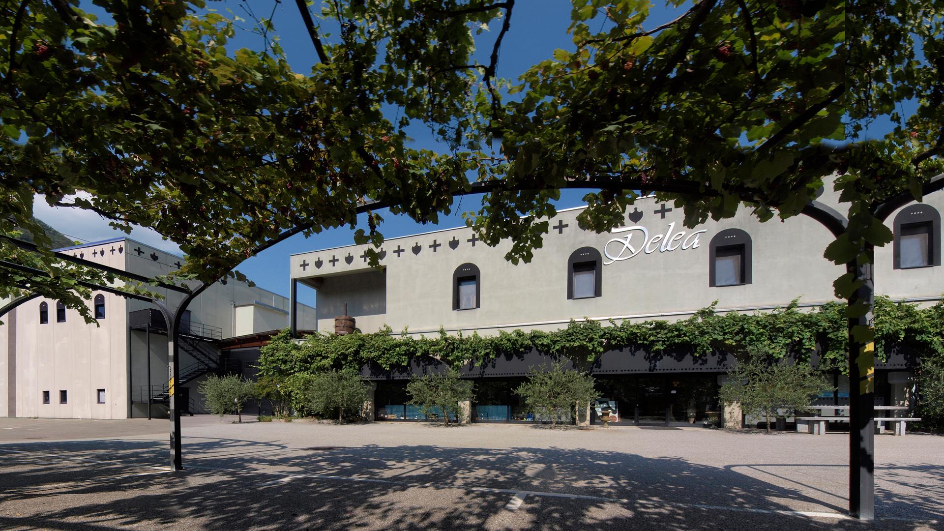 Image 0 - Vini & Distillati Angelo Delea SA