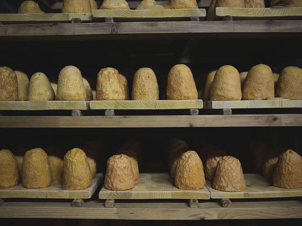 Image 4 - Formaggini and zincarlin tasting