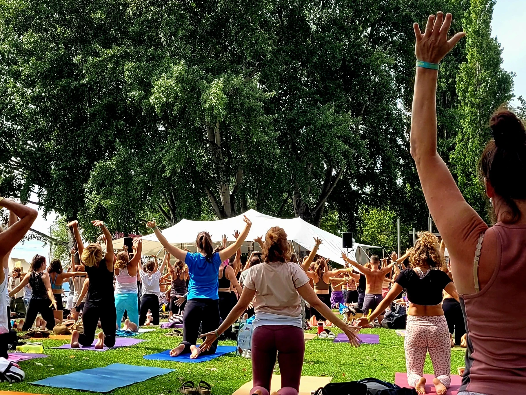 Image 0 - Festival di Yoga Image 0 -