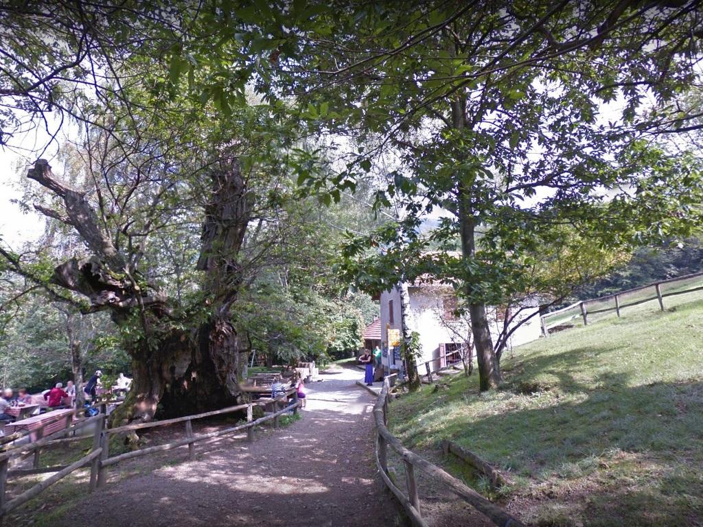 Image 2 - Grotto Alpe di Brusino