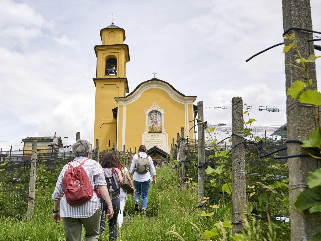 Image 6 - Agriesperienza - Azienda Manimatte