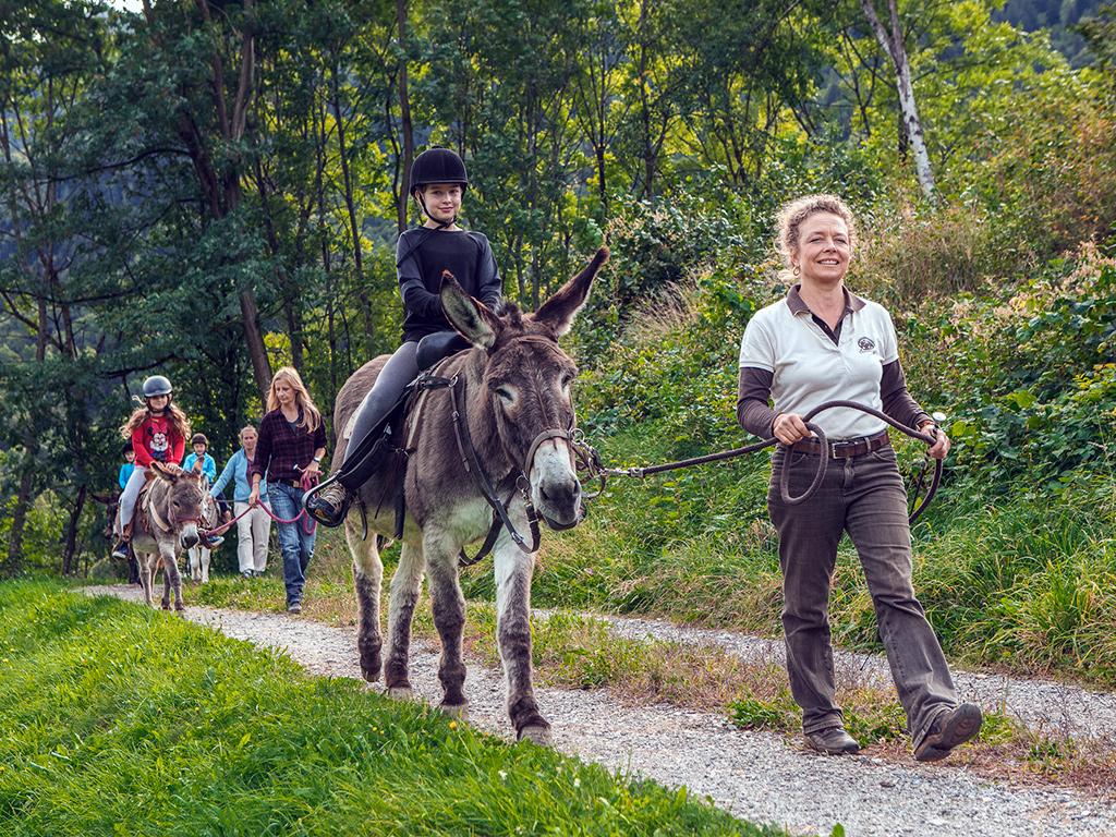 Image 3 - SOMARELLI - Trekking und Abenteuer mit Tieren
