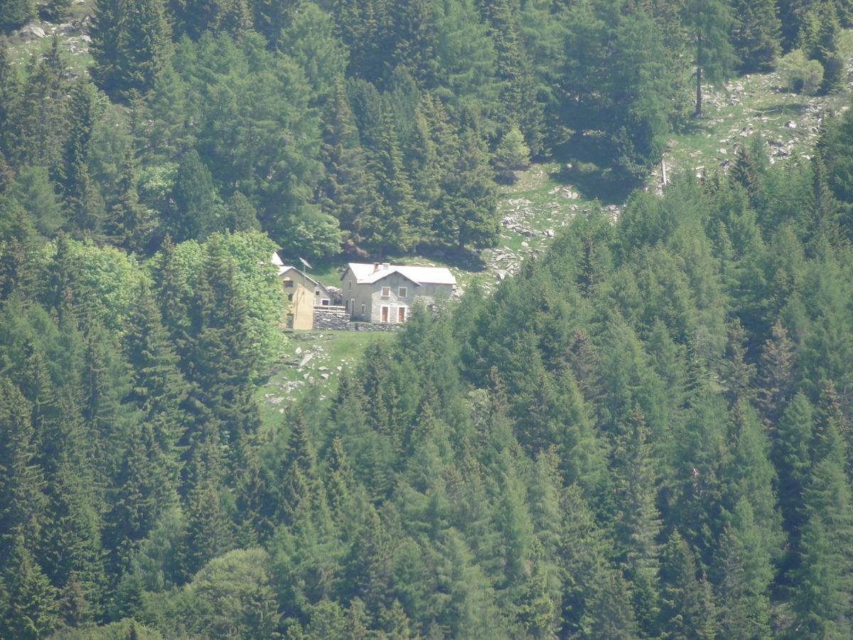 Image 2 - Giggio Protected Woodland