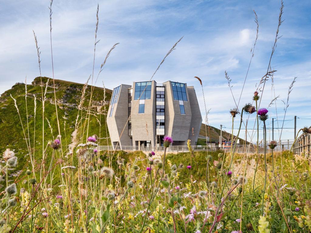 Image 0 - À la découverte des herbes