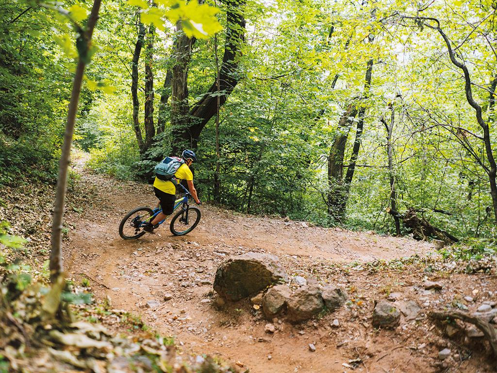 Image 3 - Mountain Bike Offer - Hotel iGrappoli