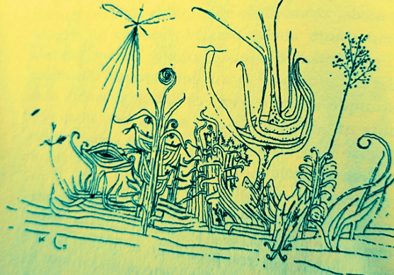 Image 0 - 