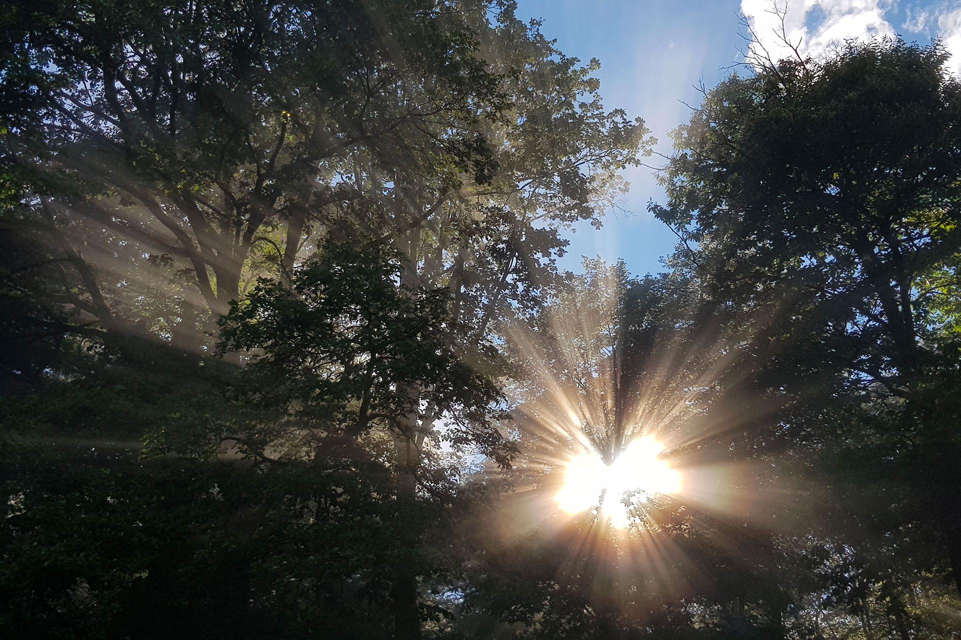 Image 1 - Bagno di Foresta