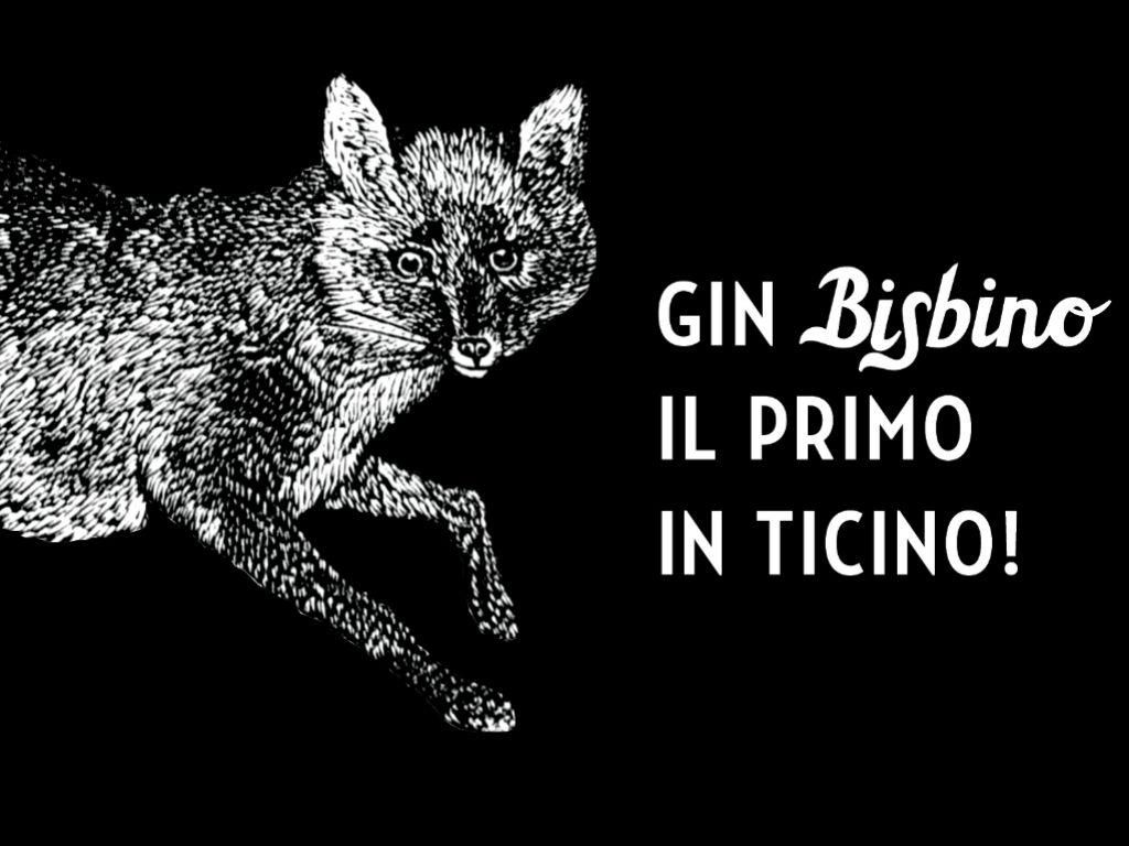 Image 3 - Gin Bisbino - The first in Ticino!