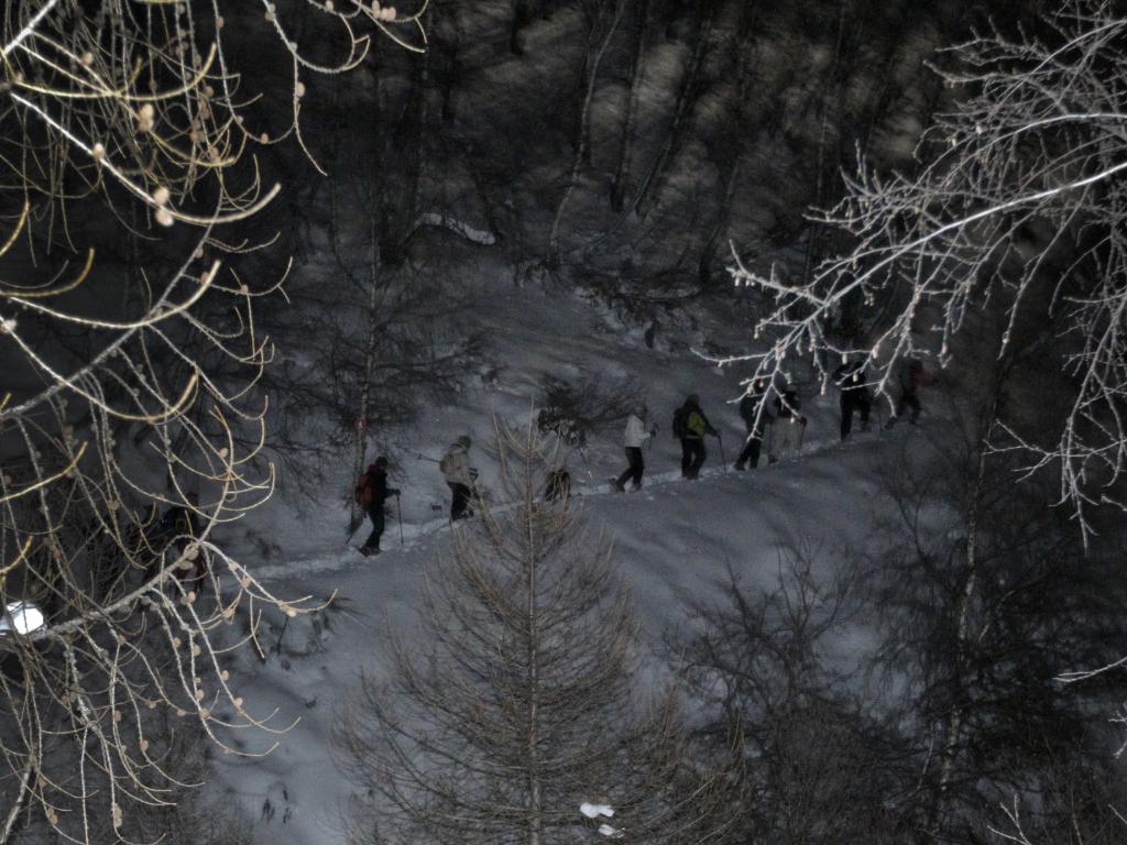 Image 3 - Cardada Cimetta - Emotionen bei Mondschein