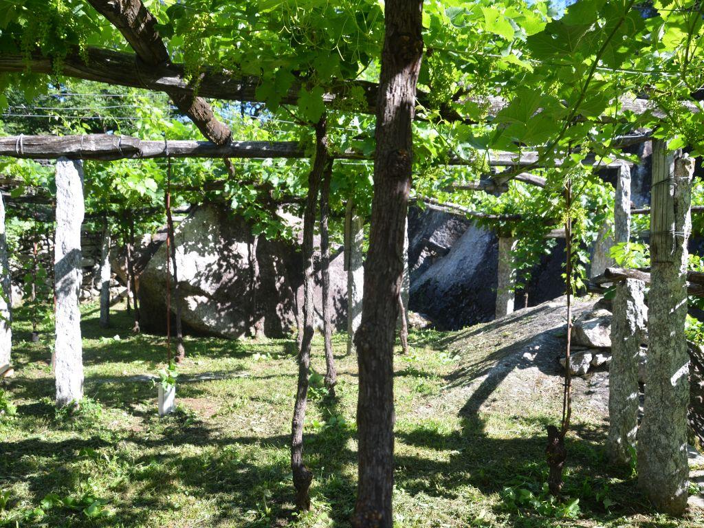 Image 3 - Fratelli Meroni 