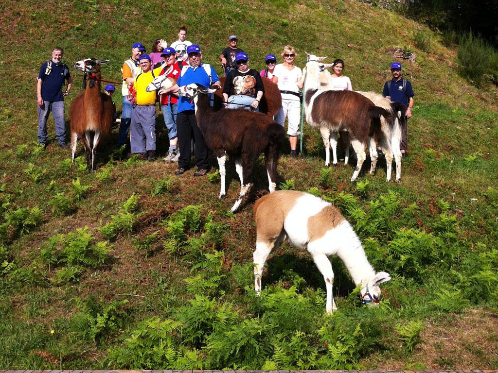 Image 3 - Lama Trekking