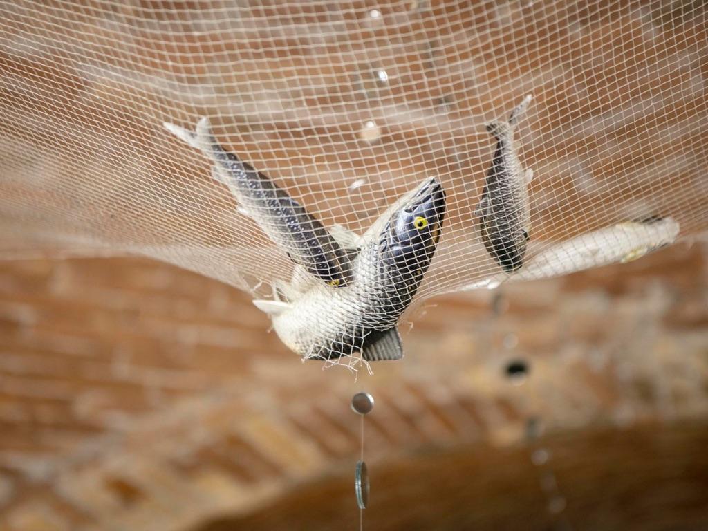 Image 8 - Swiss Tavolata – Gabriella Monfredini Rigiani