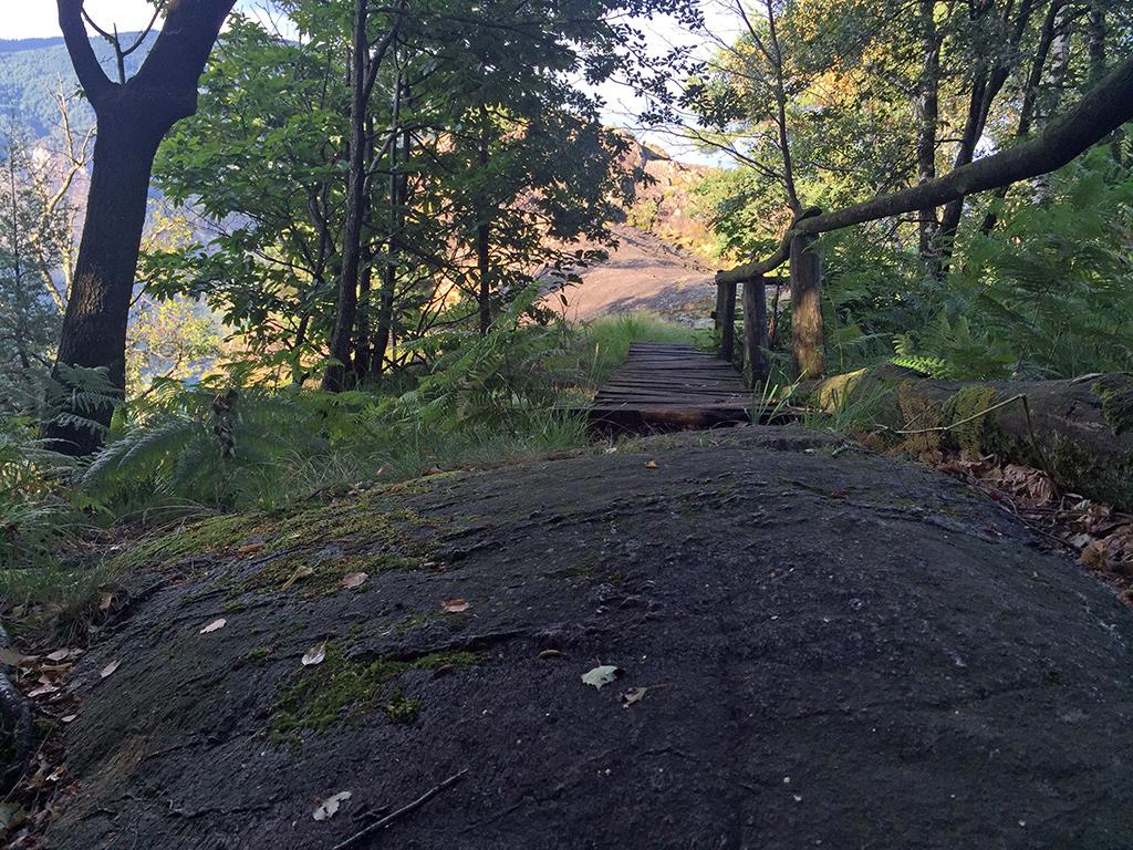 Image 1 - Discover the Maia Woodland