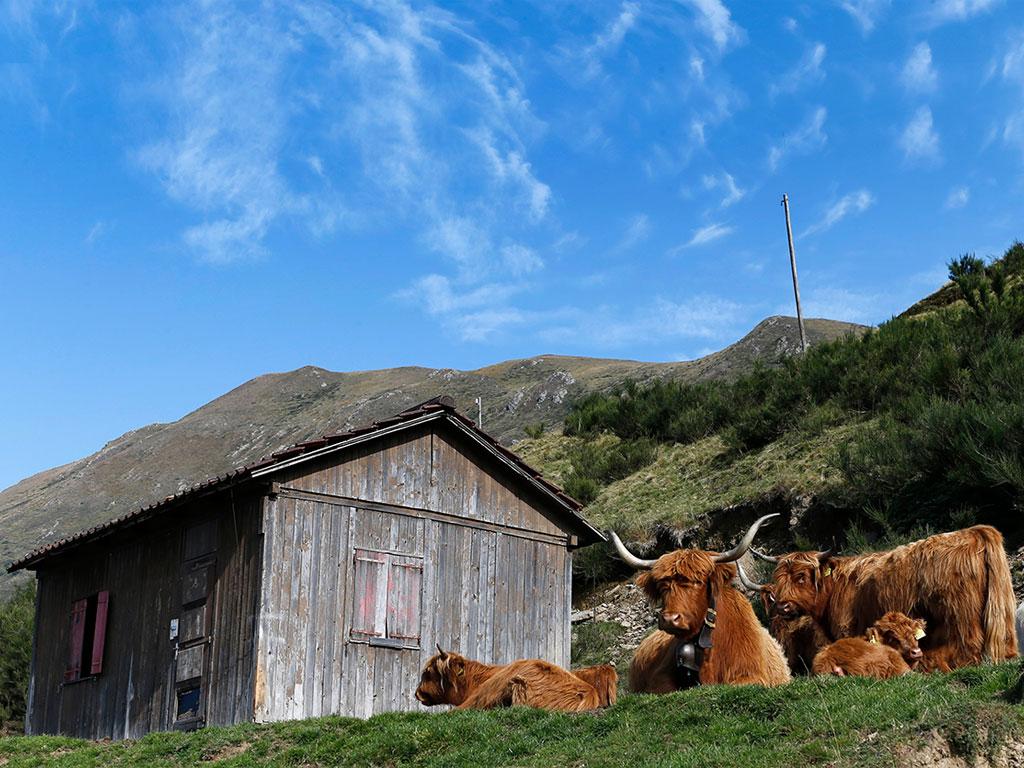 Image 1 - Alpe Cottino