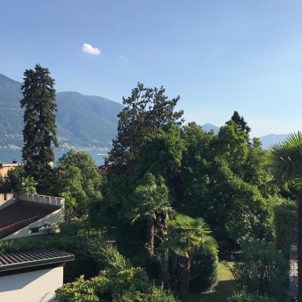Image 0 - Muralto-Locarno: Miramonti Apt. 17