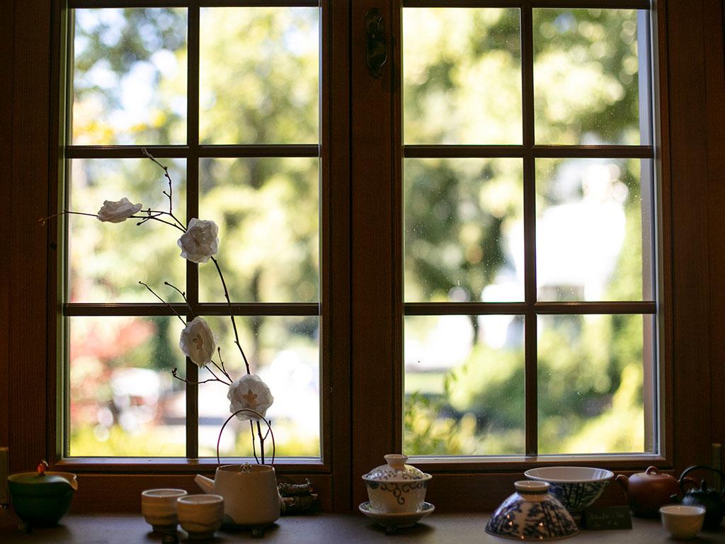 Image 3 - Plantation de thé du Monte Verità