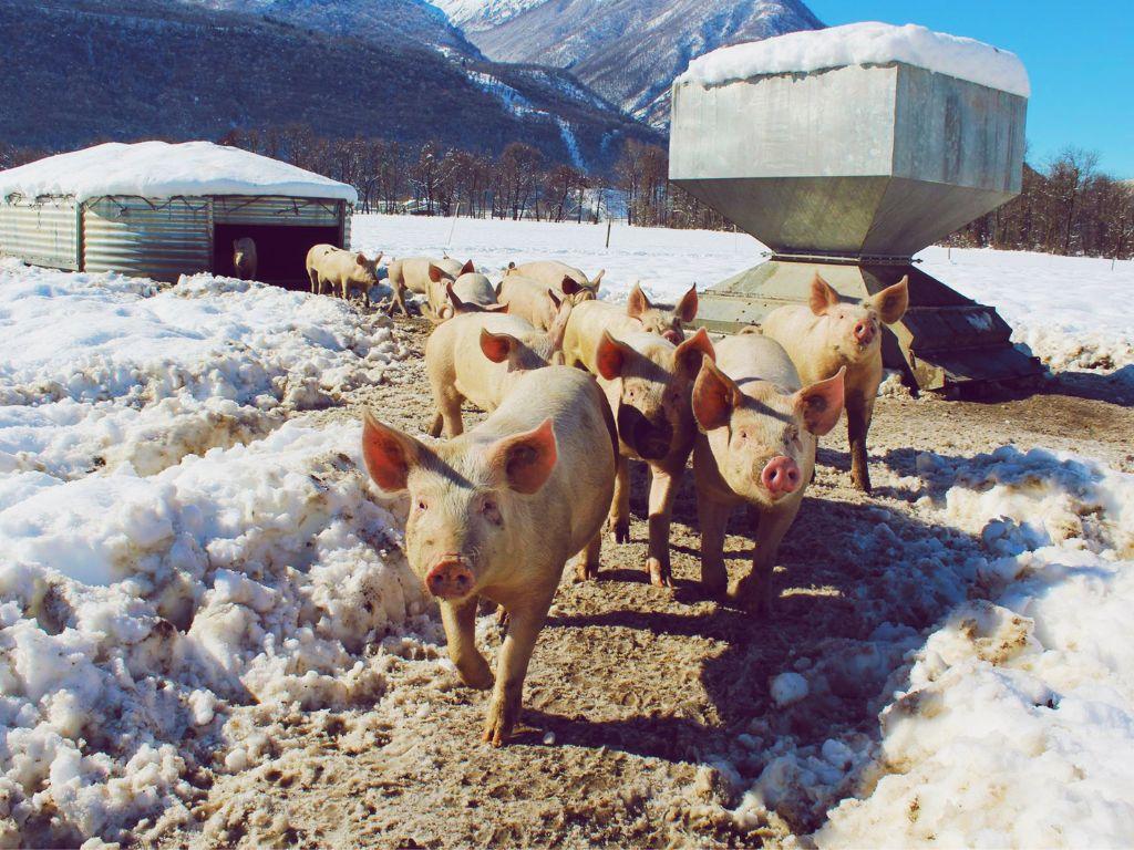 Image 4 - Masseria Ramello