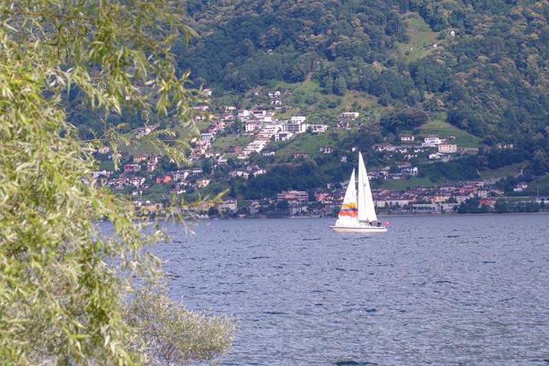 Image 1 - Antares Vela