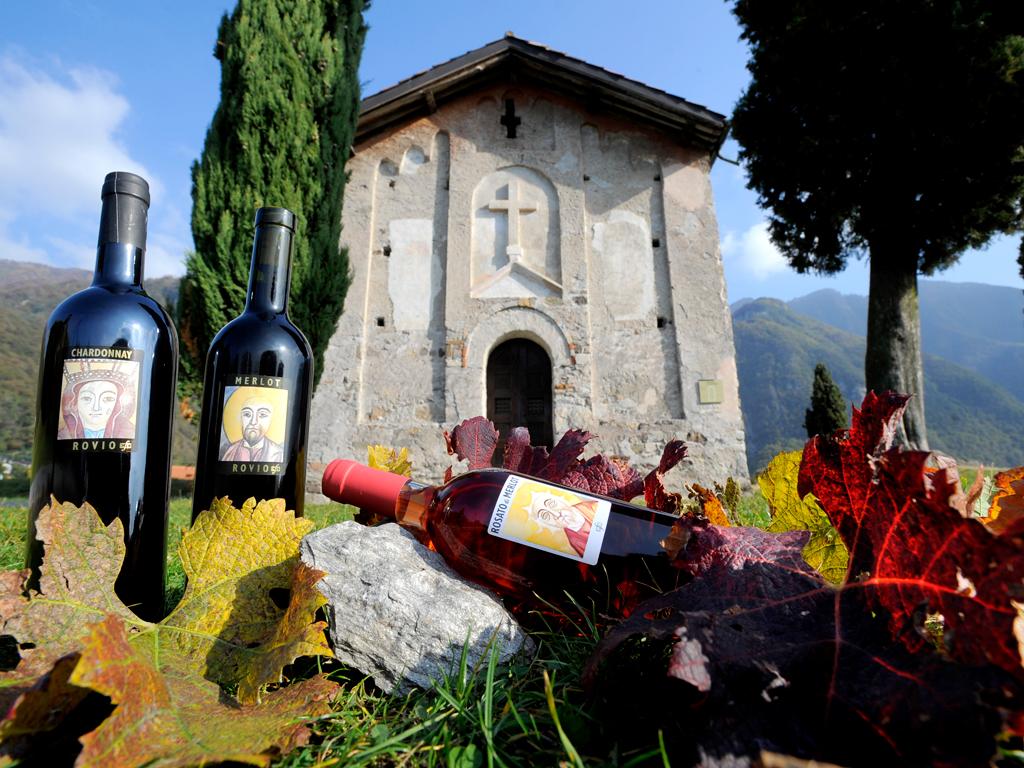 Image 2 - Vini Rovio Ronco SA