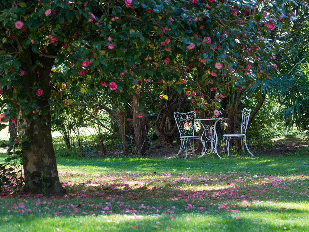 Image 6 - Mountain Bike Offer - Parkhotel Emmaus-Casa del Sole