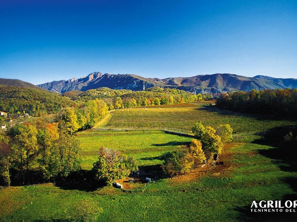 Image 9 - Wein - und Genussreise