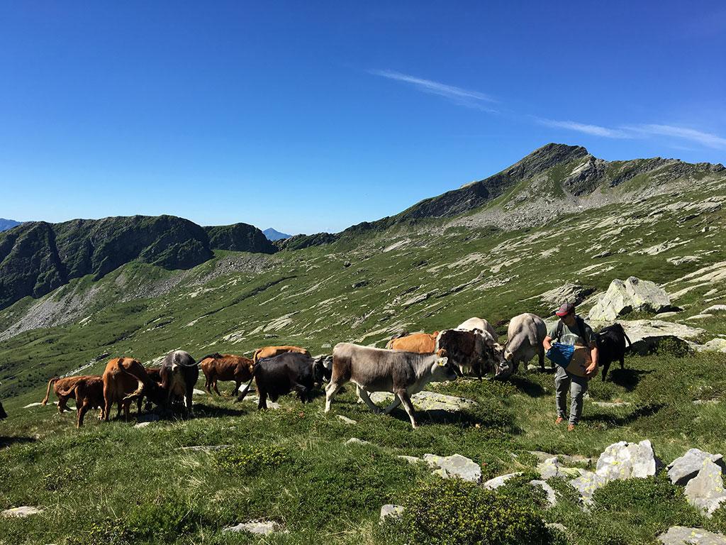 Image 1 - Azienda Mayor	