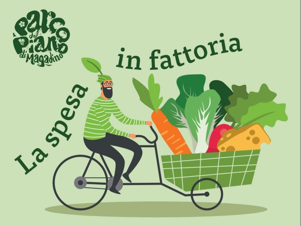 Image 10 - SUSPENDU - La spesa in fattoria