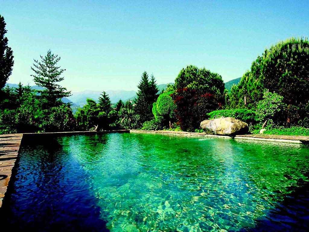 Image 8 - Garni Gardenia