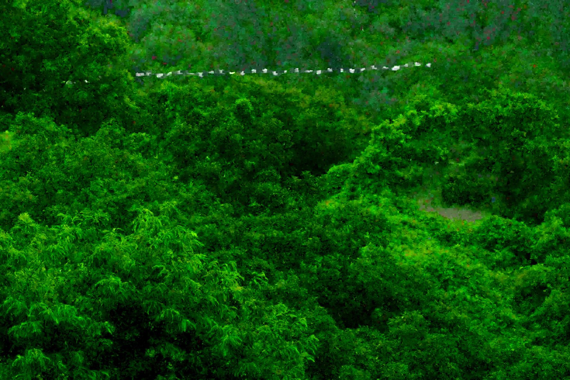 Artist Talk – Sojung Jun