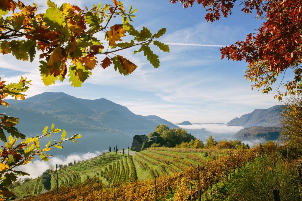 Image 0 - Tenuta Castello di Morcote