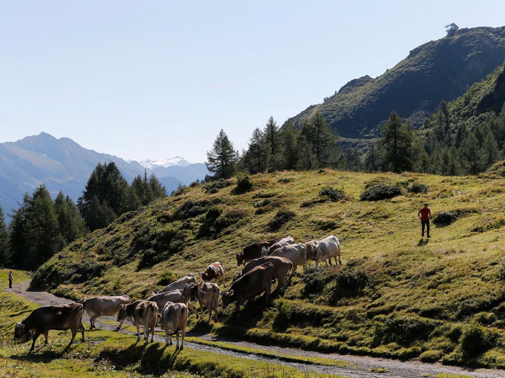 Image 2 - Nufenen Pass
