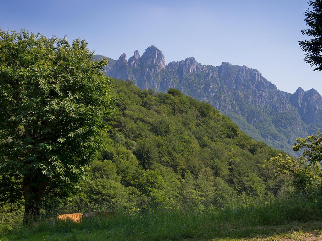 Image 5 - Riserva forestale dei Denti della Vecchia