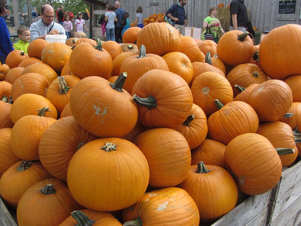 Image 3 - Crème de potiron - La recette