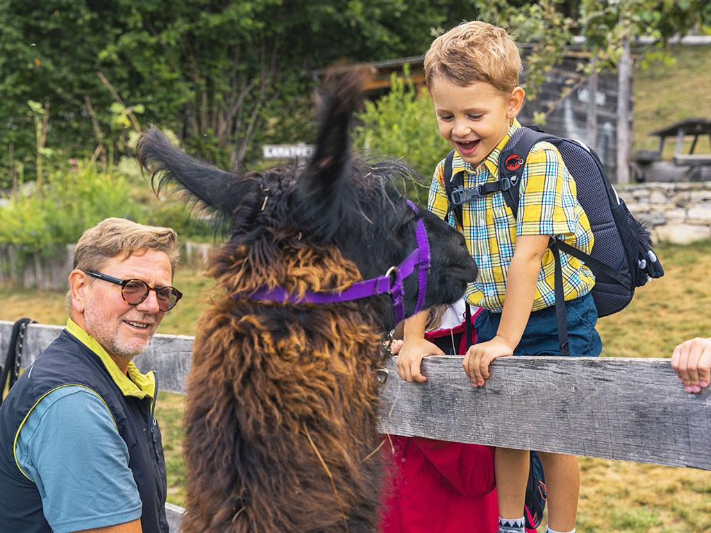 Image 1 - Lamatrekking Ticino