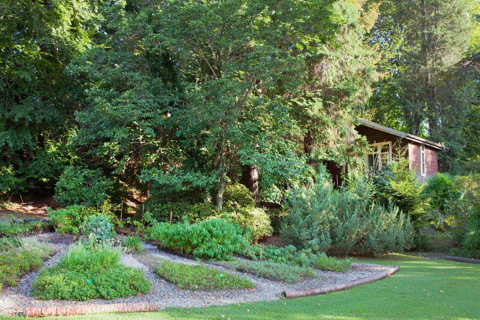 Image 5 - Monte Verità Park