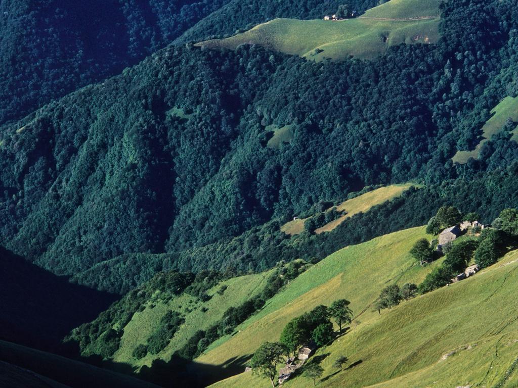 Image 5 - Mendrisiotto Terroir