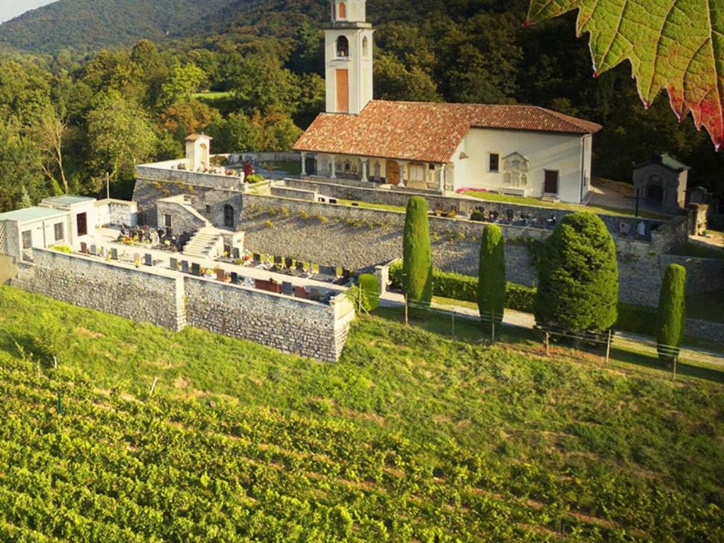 Image 1 - Dégustation en vignoble