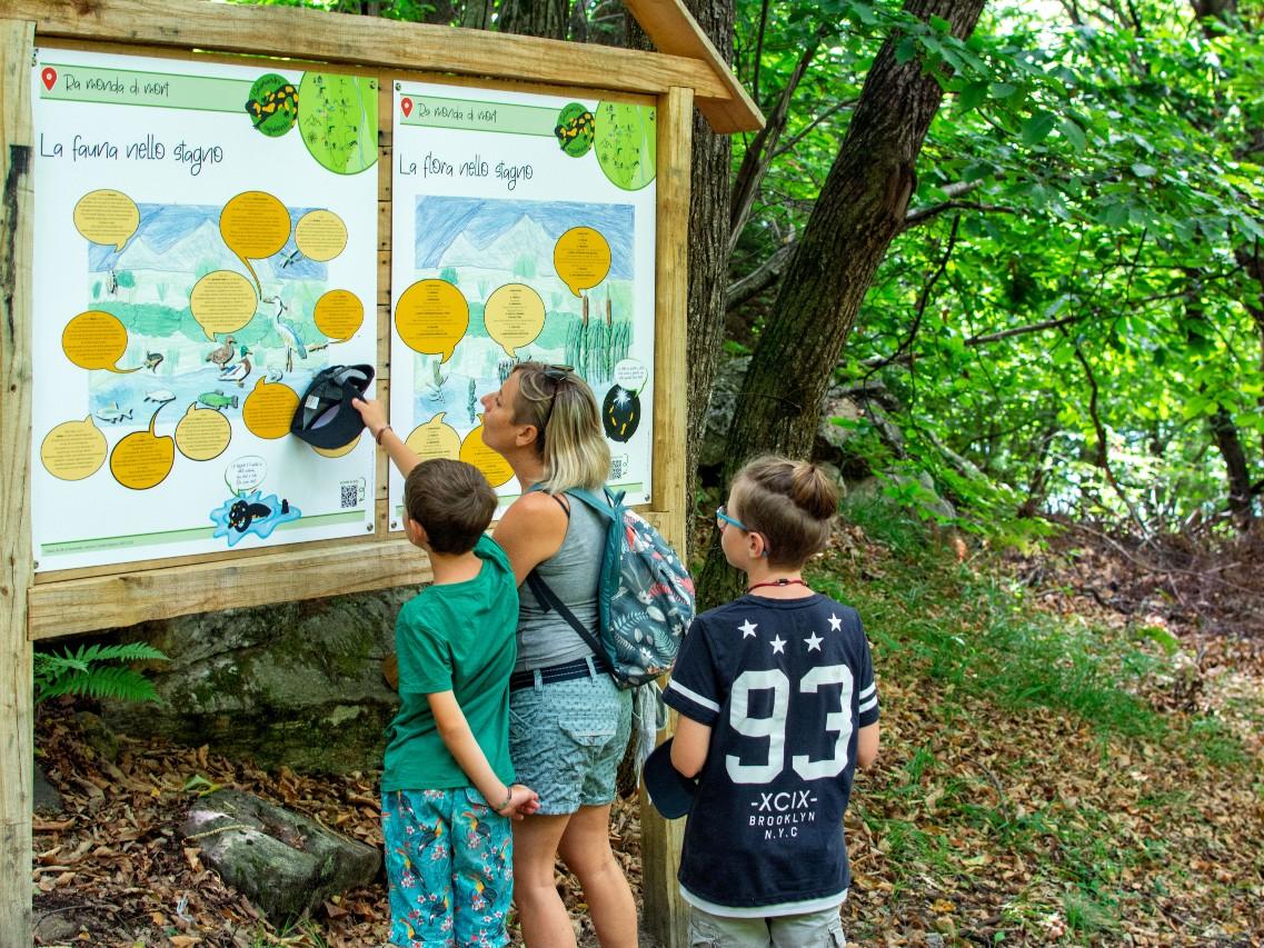 Image 1 - Schatzsuche – Salamandra Vagabonda