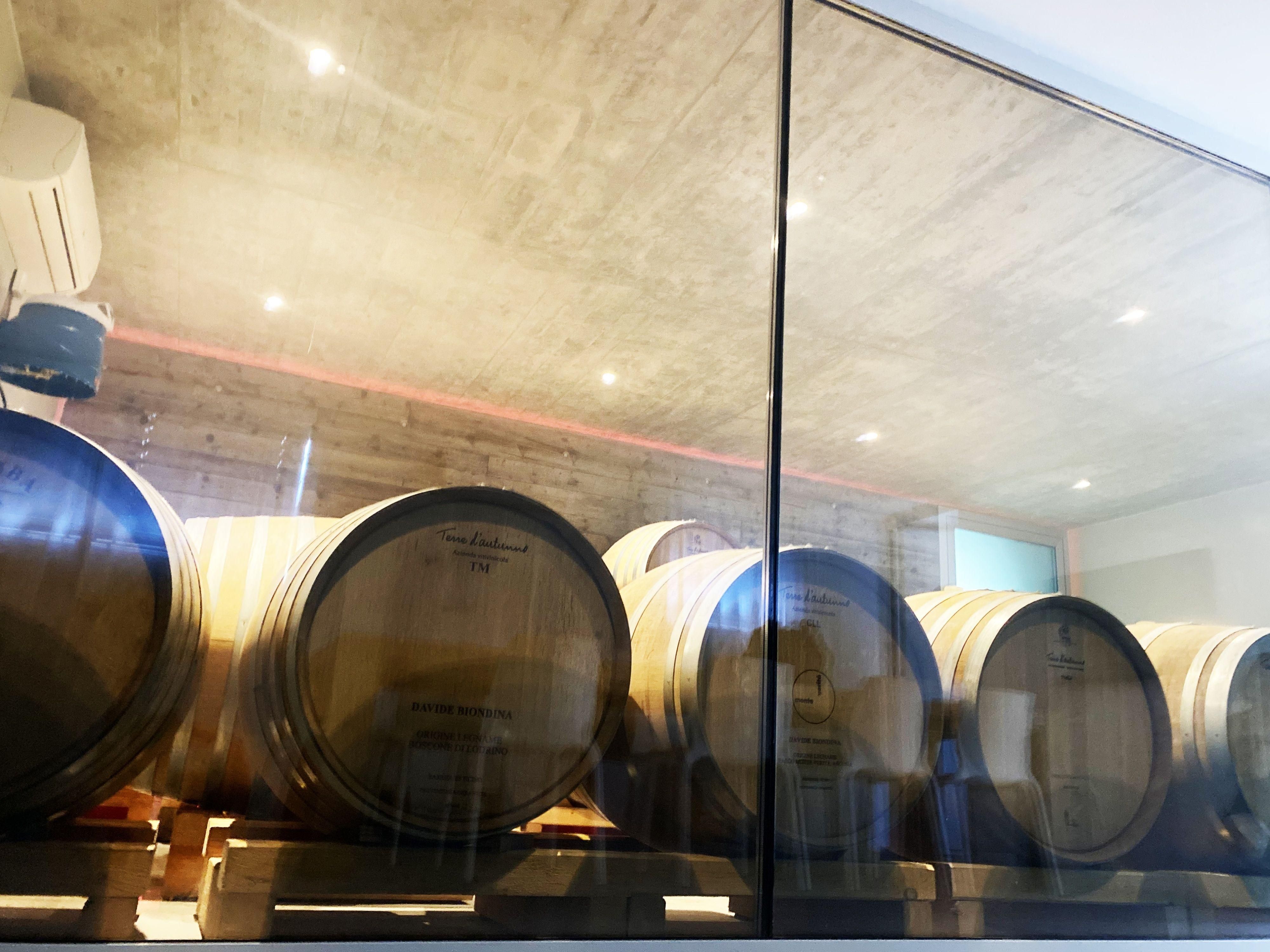 Image 6 - Terre d'autunno