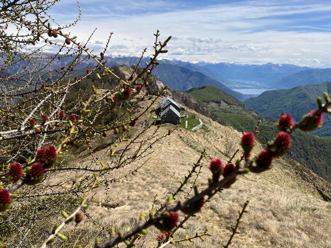 Image 5 - Rifugio Corte Nuovo 