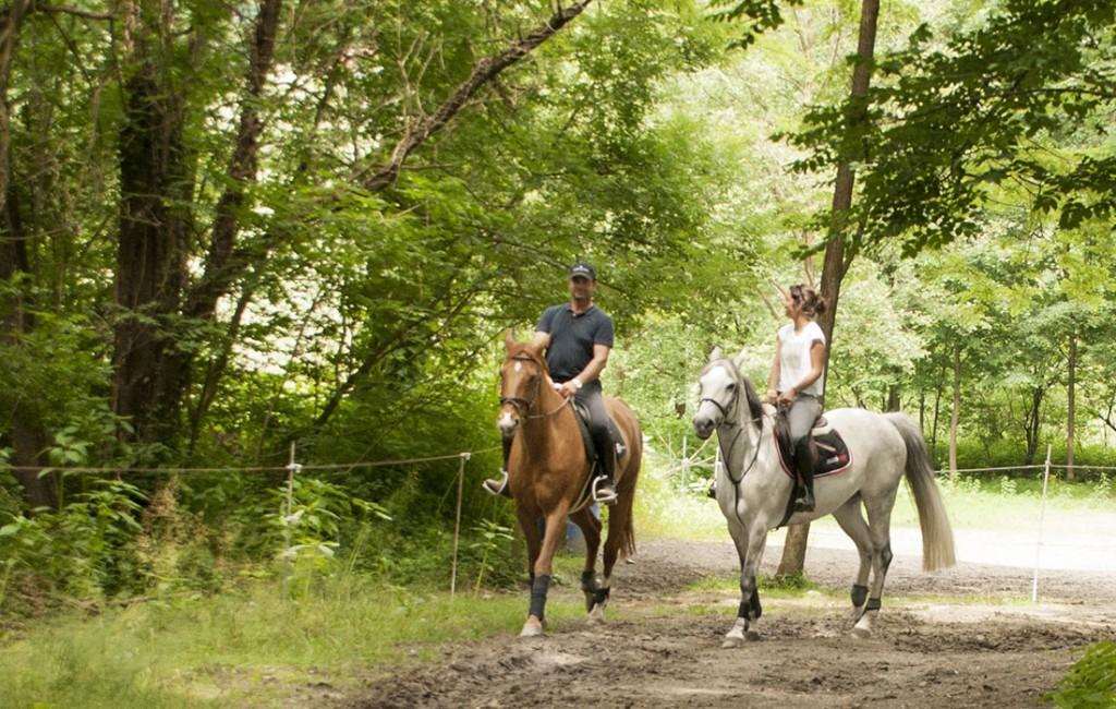 Image 4 - Scuderia Progero