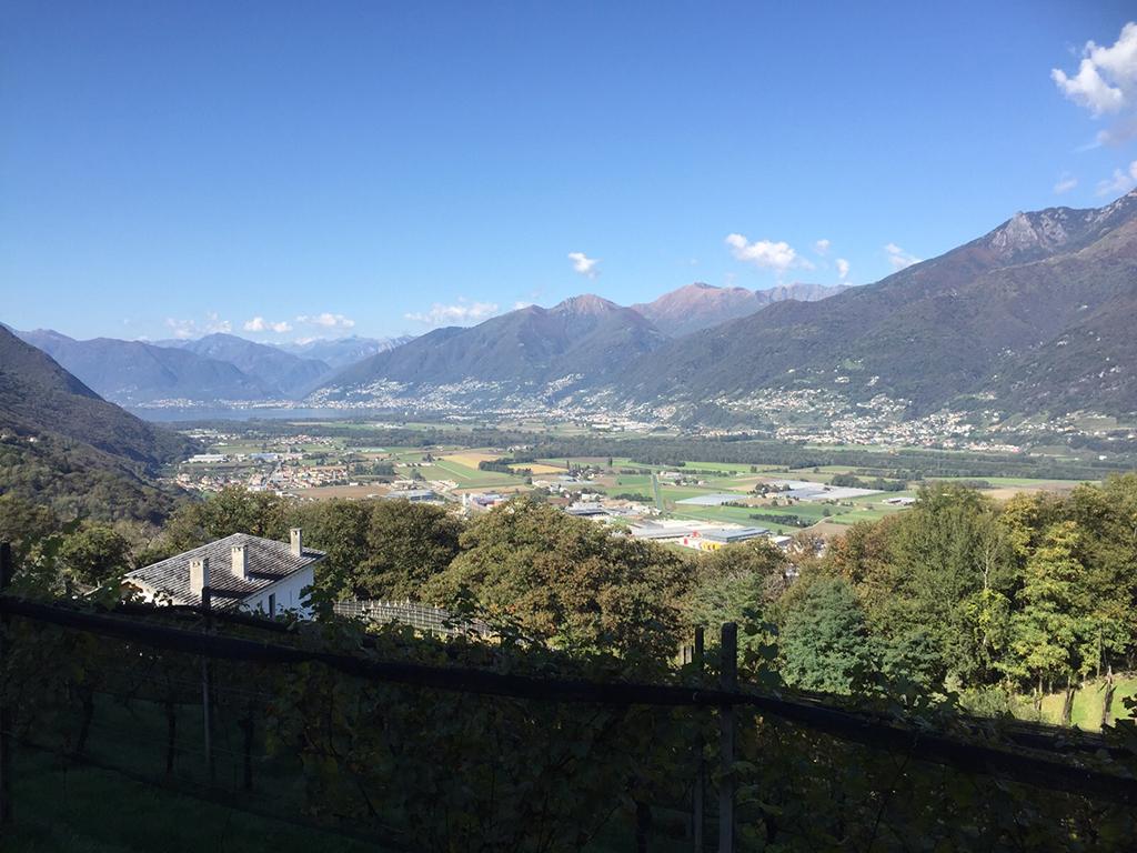 Image 1 - Agriturismo La Vigna