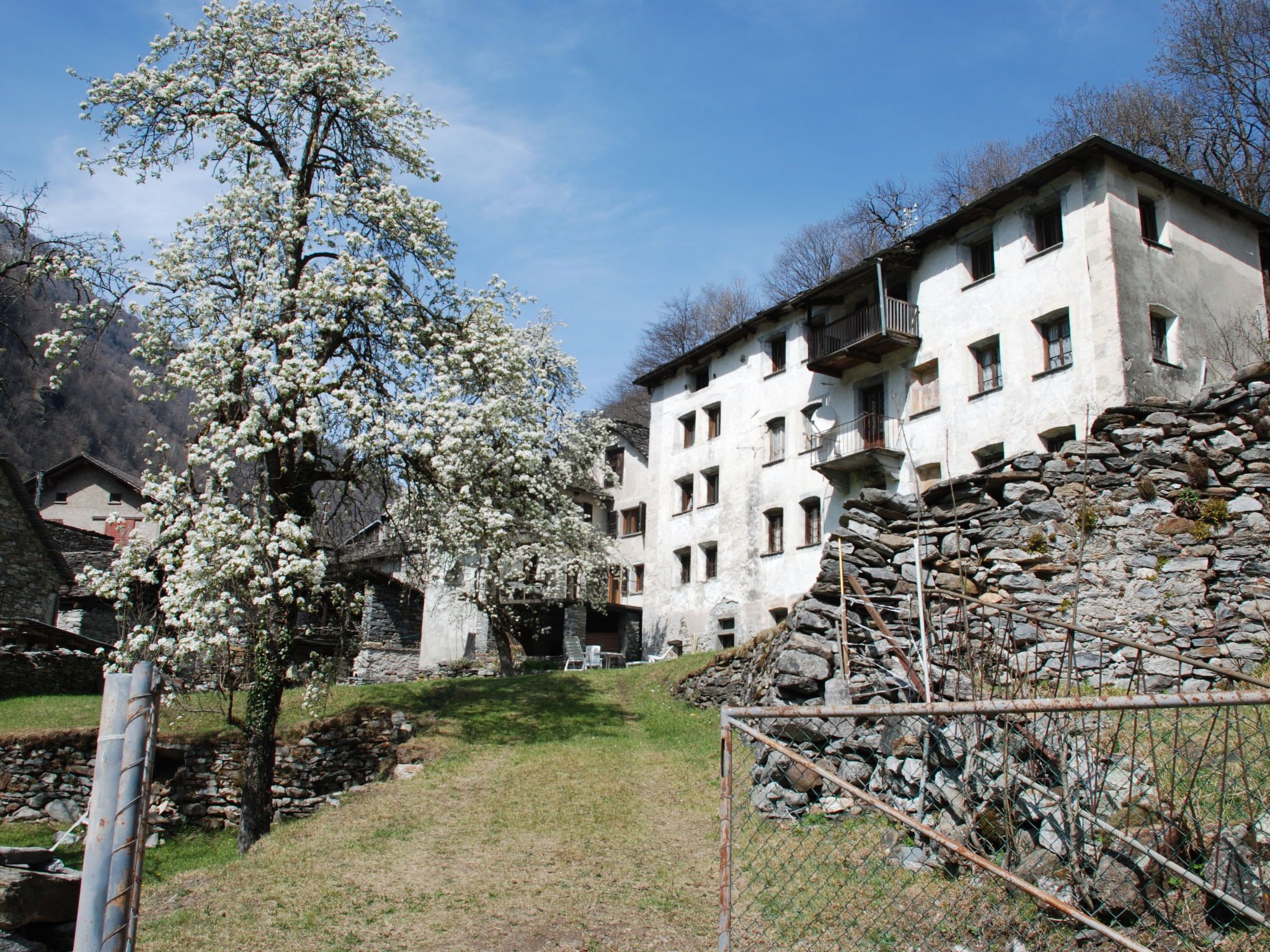Image 0 - Signorile