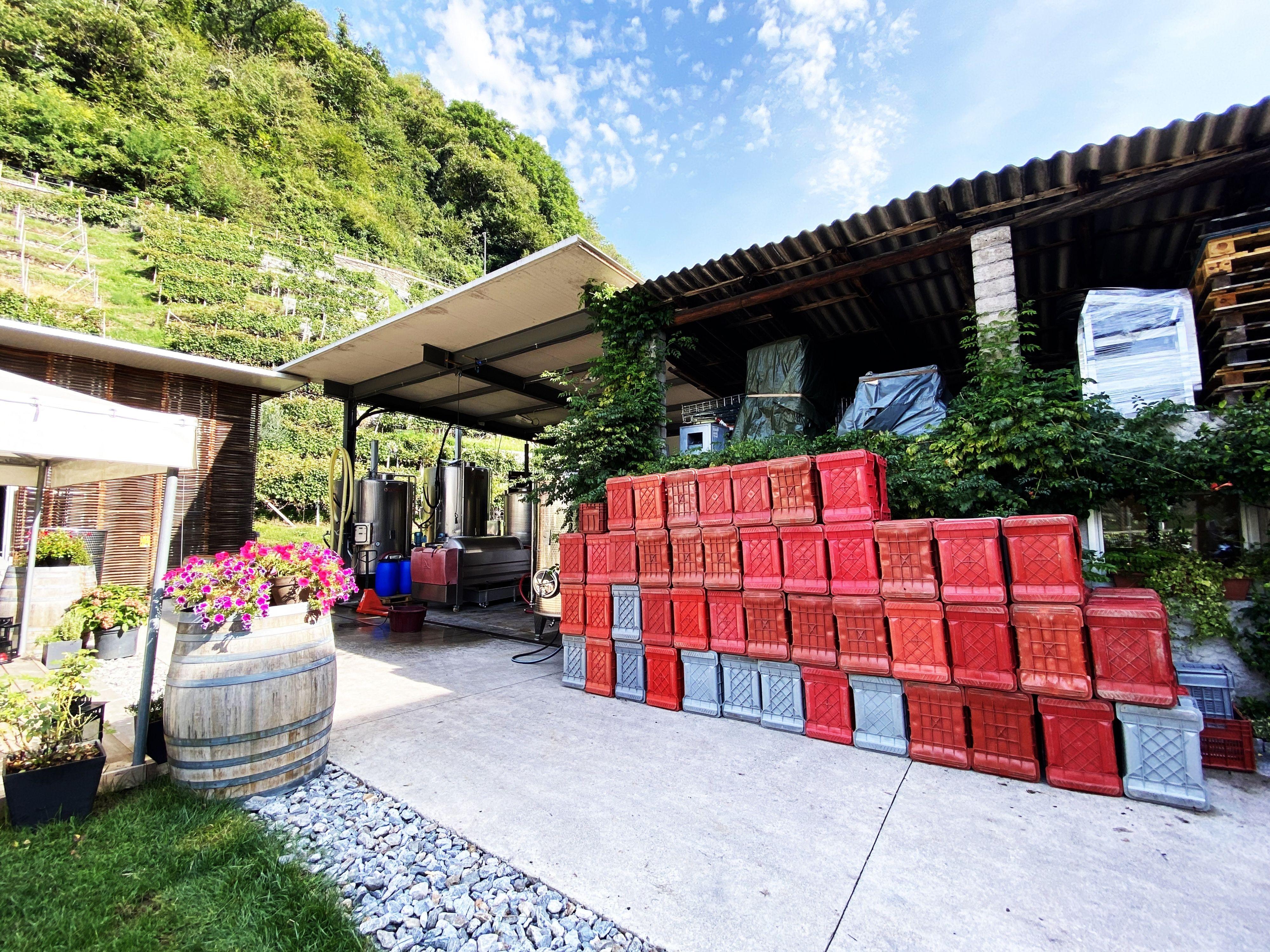 Image 10 - Wine cellar Settemaggio	