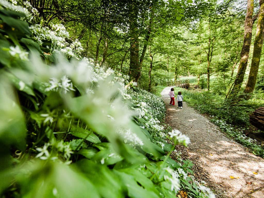 Image 1 - Valle della Motta Forest Reserve