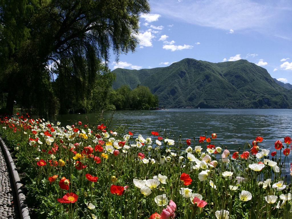 Image 2 - Family Tour