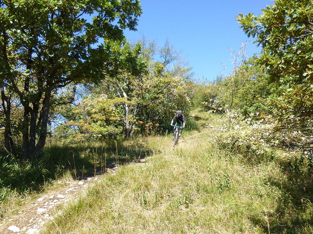 Image 2 - Mountain Bike Offer - Hotel Serpiano