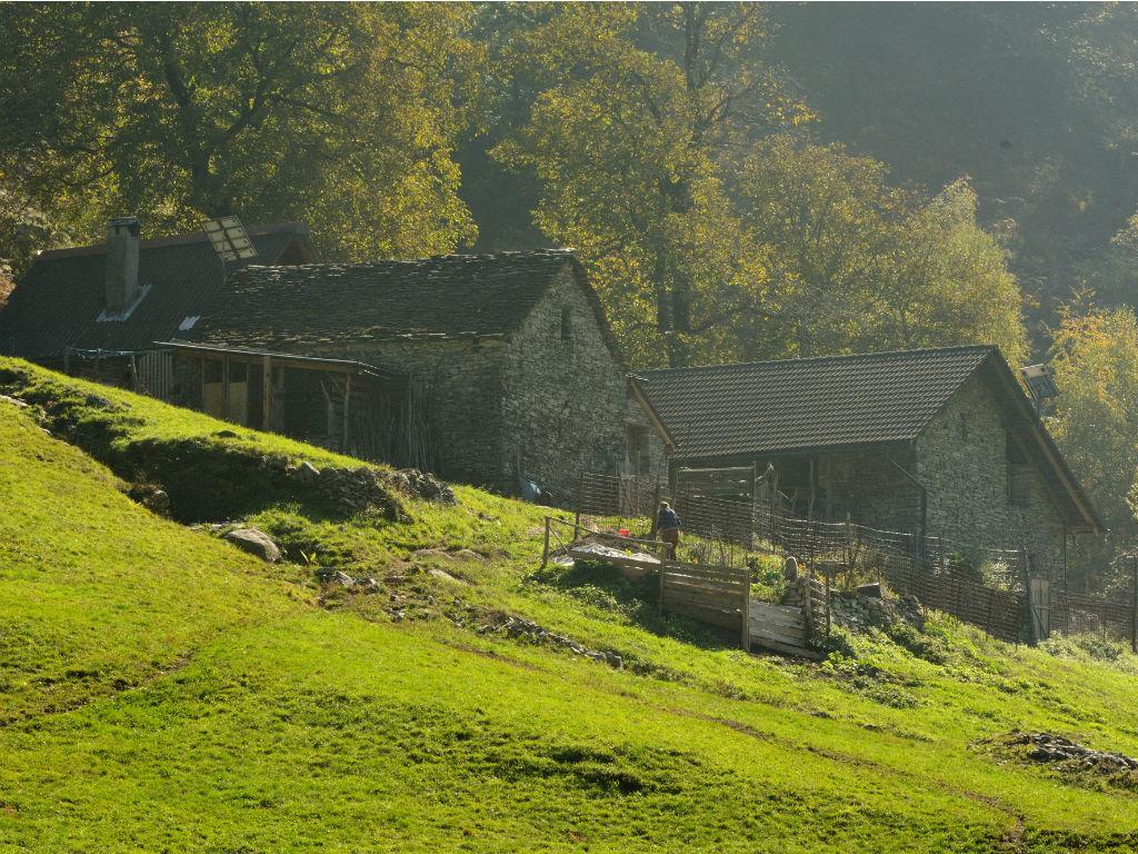 Image 4 - Azienda Capra Contenta