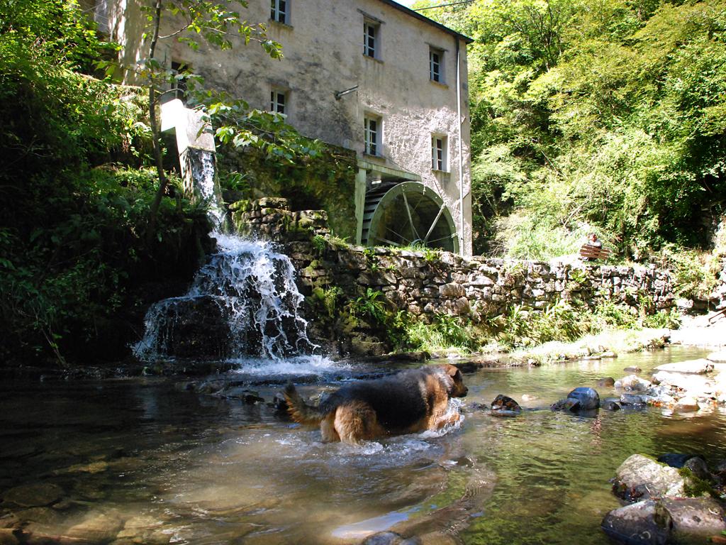 Image 1 - Le Moulin de Bruzella