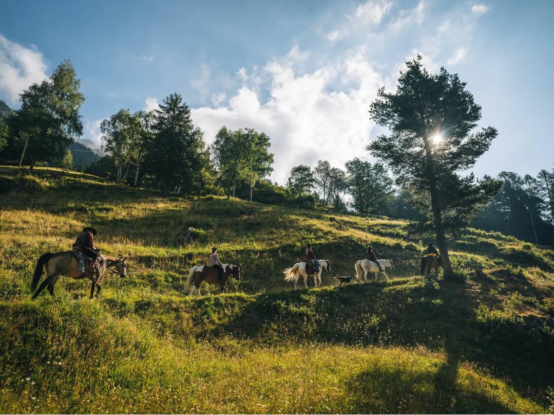 Image 2 - Horse rides in Valle Leventina: Leventina Western